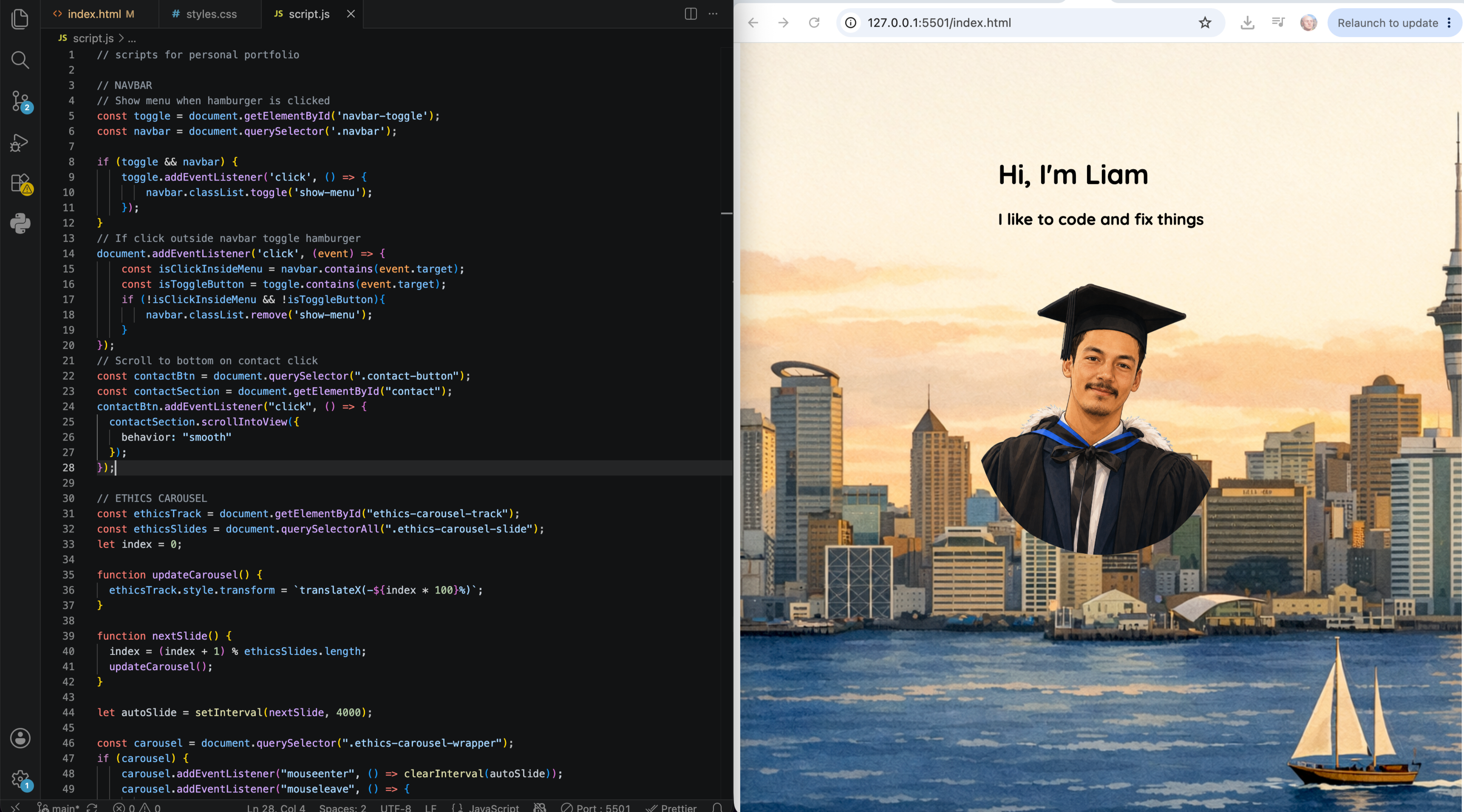 portfolio screen shot with code